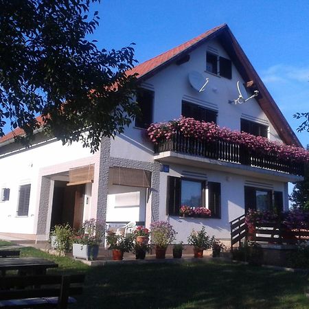 Guest House Adrijana سيليست دريزنيكو المظهر الخارجي الصورة