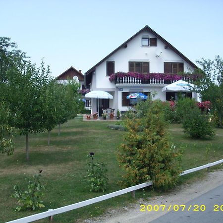 Guest House Adrijana سيليست دريزنيكو المظهر الخارجي الصورة
