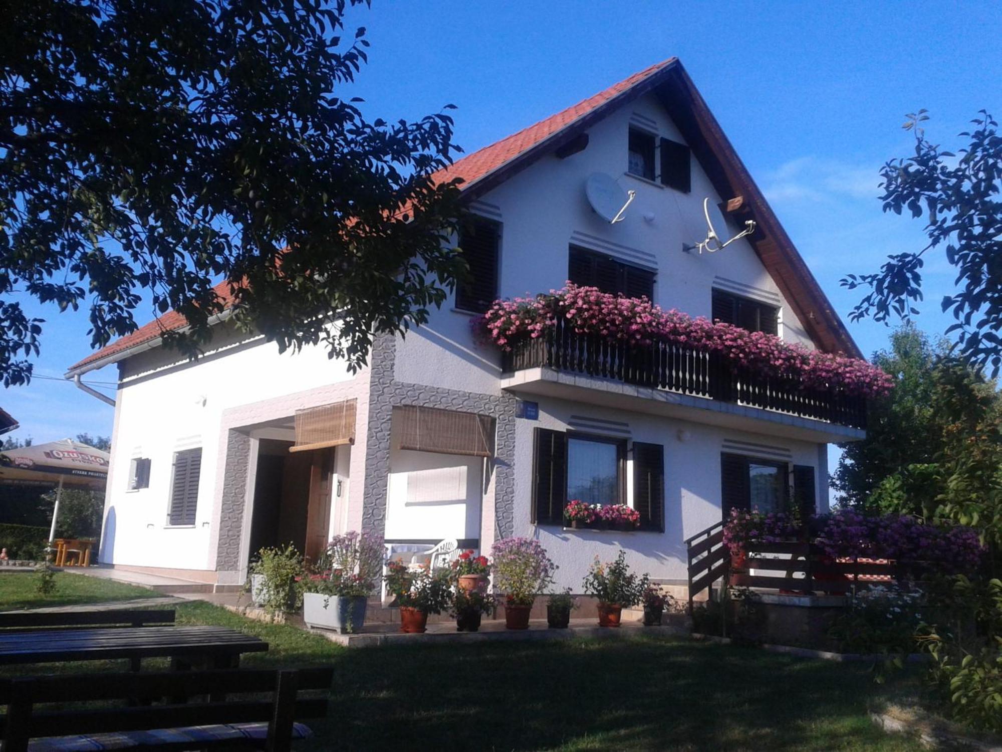 Guest House Adrijana سيليست دريزنيكو المظهر الخارجي الصورة
