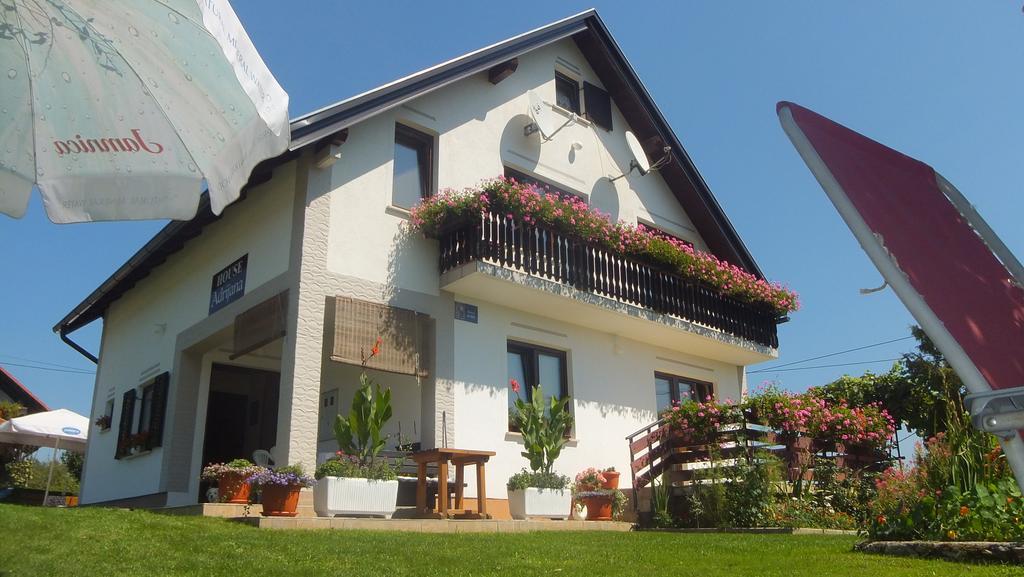 Guest House Adrijana سيليست دريزنيكو المظهر الخارجي الصورة