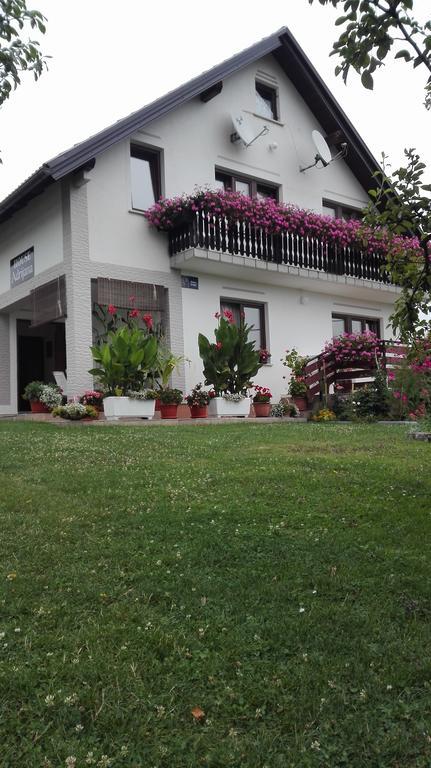 Guest House Adrijana سيليست دريزنيكو المظهر الخارجي الصورة