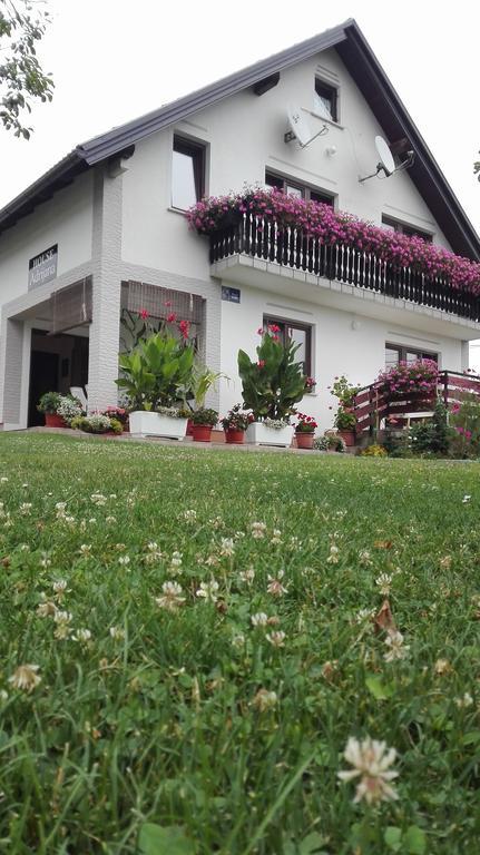 Guest House Adrijana سيليست دريزنيكو المظهر الخارجي الصورة