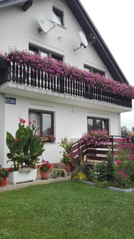 Guest House Adrijana سيليست دريزنيكو المظهر الخارجي الصورة