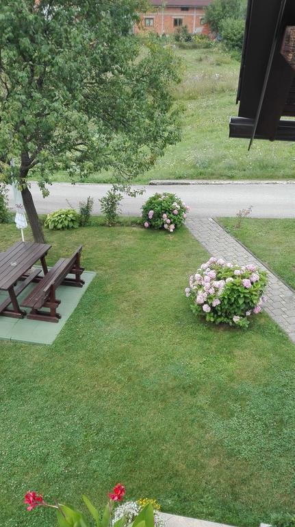 Guest House Adrijana سيليست دريزنيكو المظهر الخارجي الصورة