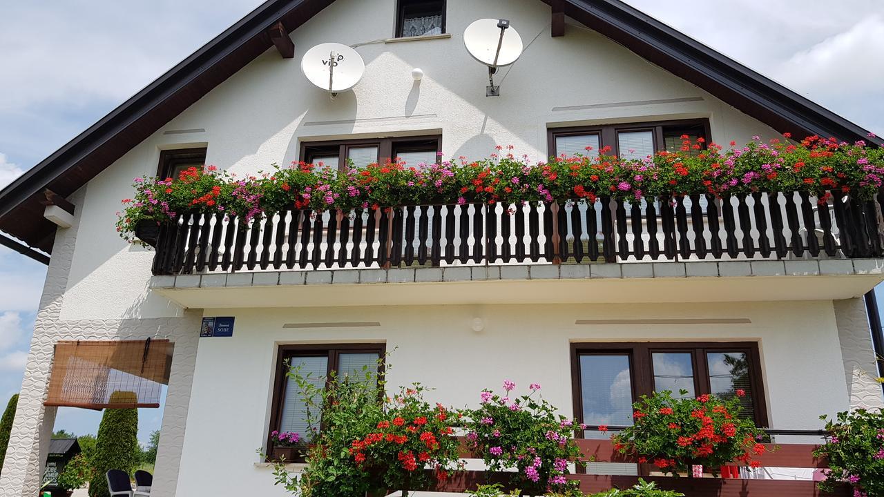 Guest House Adrijana سيليست دريزنيكو المظهر الخارجي الصورة