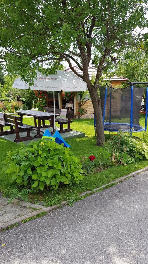Guest House Adrijana سيليست دريزنيكو المظهر الخارجي الصورة