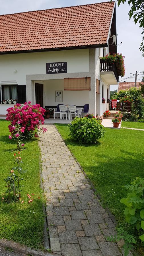 Guest House Adrijana سيليست دريزنيكو المظهر الخارجي الصورة